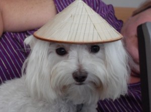 VLUU L100, M100  / Samsung L100, M100