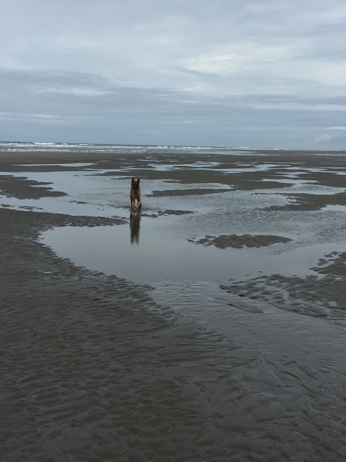 Bored to Brilliant (When Technology Turns Bad – Saving the&nbsp;Muse)