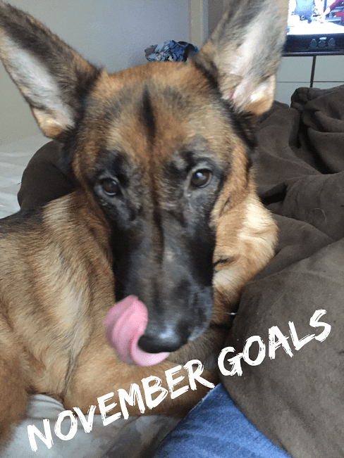 Nano is Coming! November Goals&nbsp;Unveiled