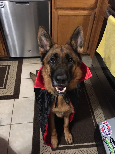 Happy Halloween! (and may the odds be ever in your favor,&nbsp;Nanoers)