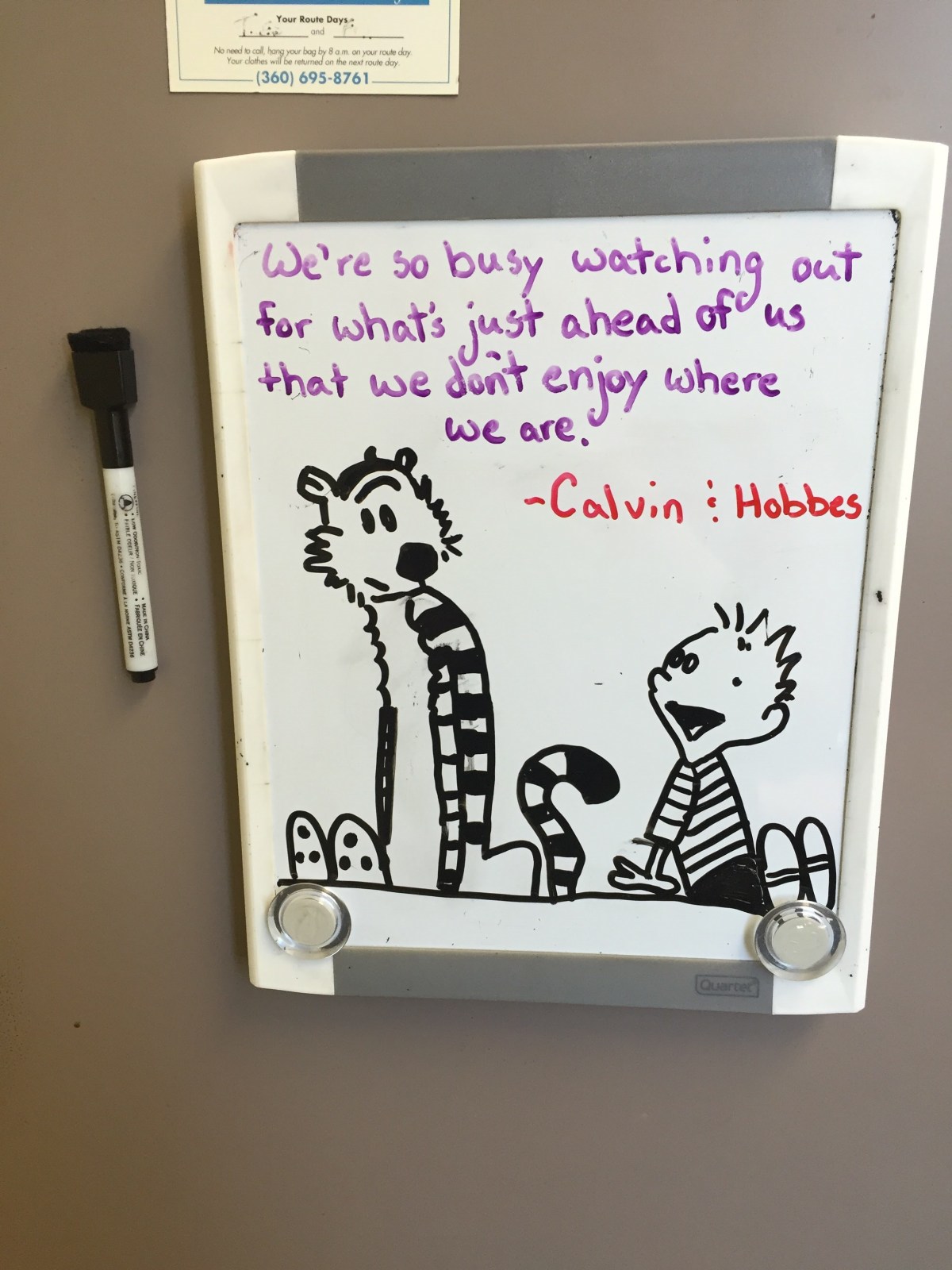 A Year of Struggle, a Year of Change (goodbye 2016, I still don’t know what to think of&nbsp;you)