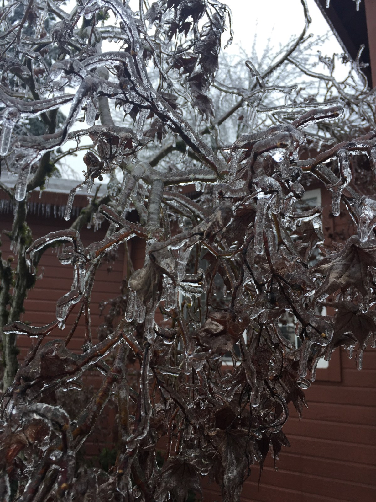 When snow day dreams turn into&nbsp;nightmares