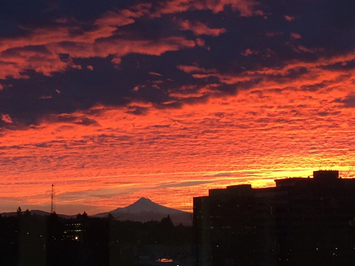 New Year, New Promise, and Welcome&nbsp;Back