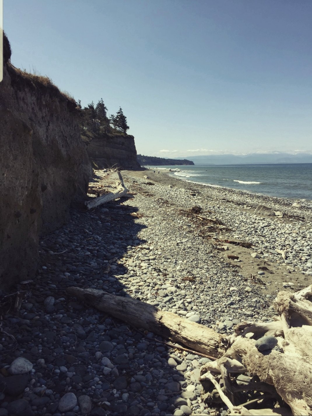 Monsters in the Sea of Distraction (Rescuing the&nbsp;Muse)